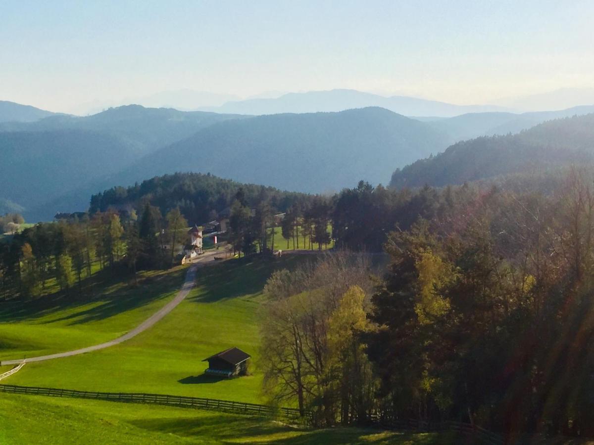 Hotel Landgasthof Laerchenwald 科尔皮缇亚 外观 照片