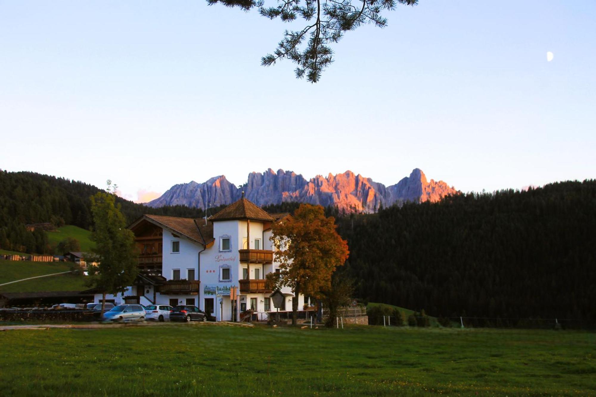 Hotel Landgasthof Laerchenwald 科尔皮缇亚 外观 照片